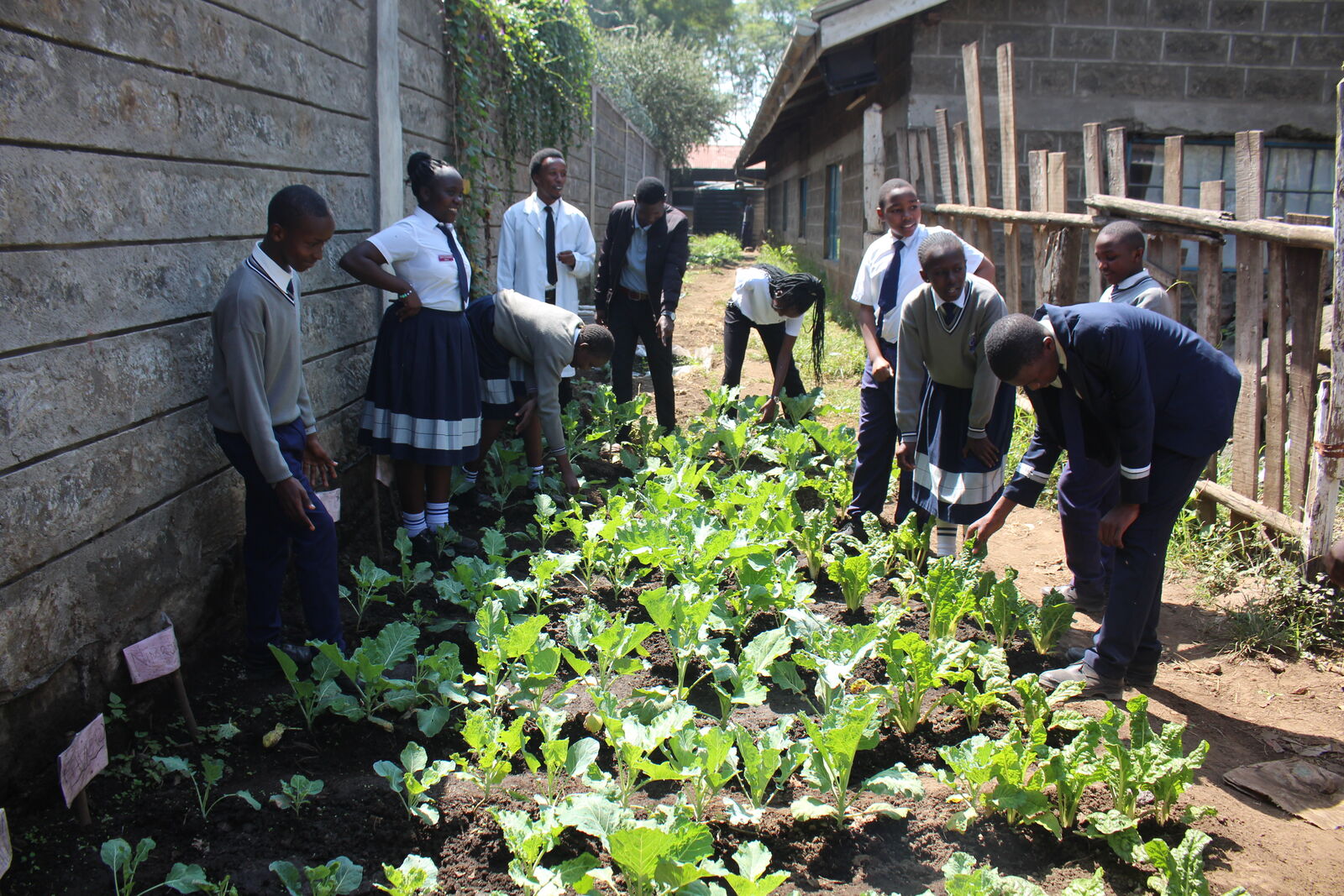 Young Farmers & Agriculture Club